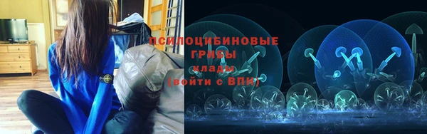 прущие крисы Тайга