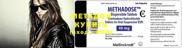 прущие крисы Тайга
