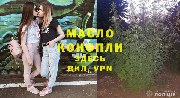 дмт Сясьстрой