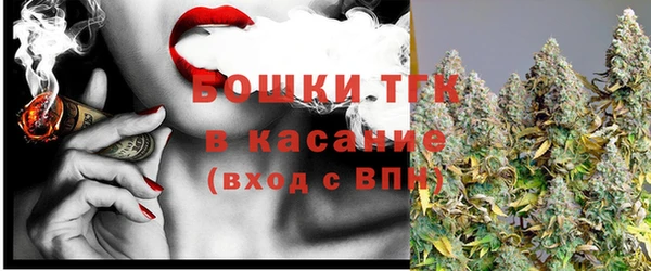 прущие крисы Тайга