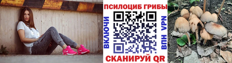 купить наркотик  Йошкар-Ола  Галлюциногенные грибы Psilocybe 
